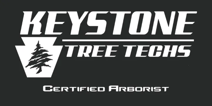 Keystone Tree Techs Logo