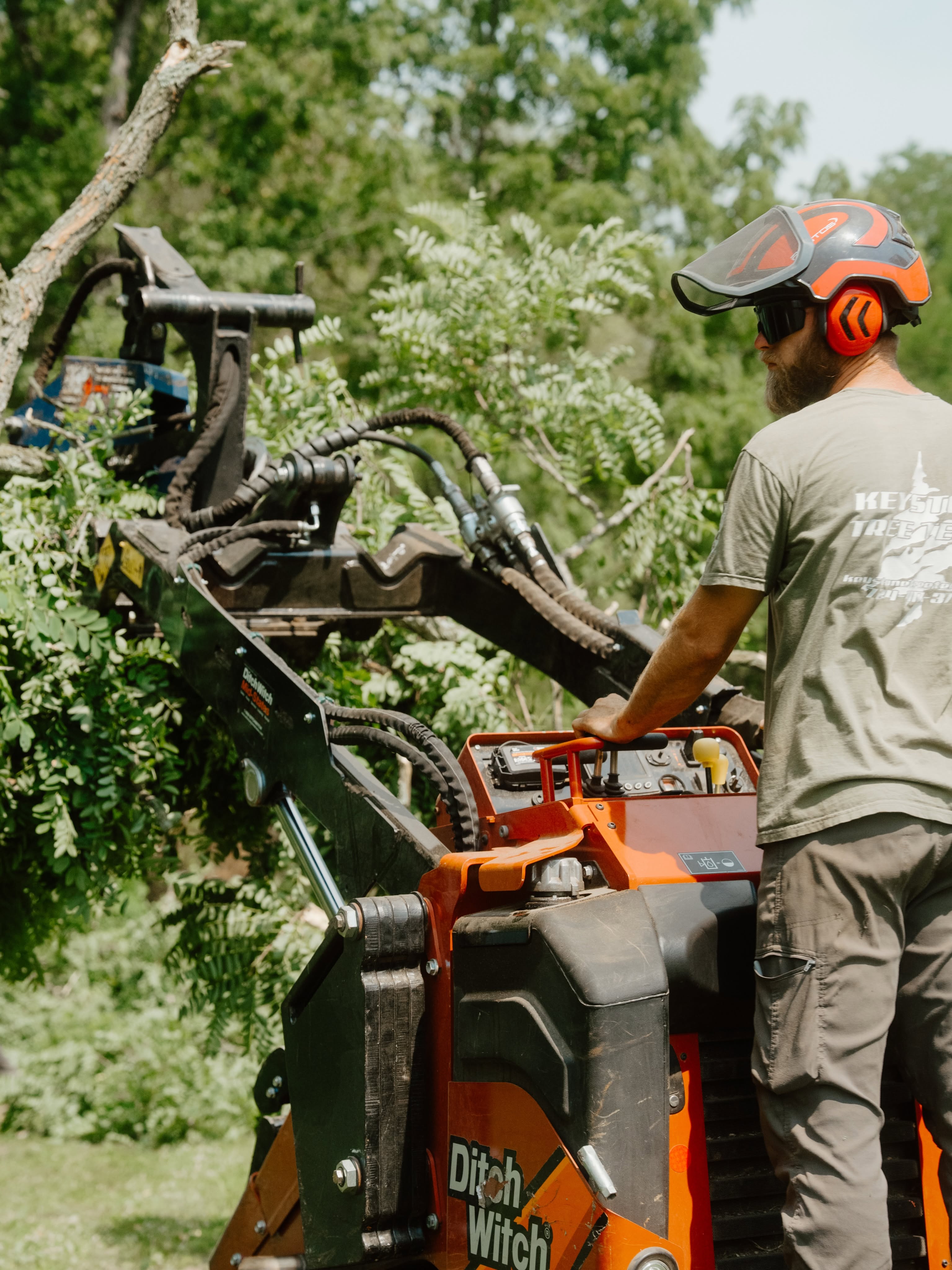 Tree service near me in Rochester, PA