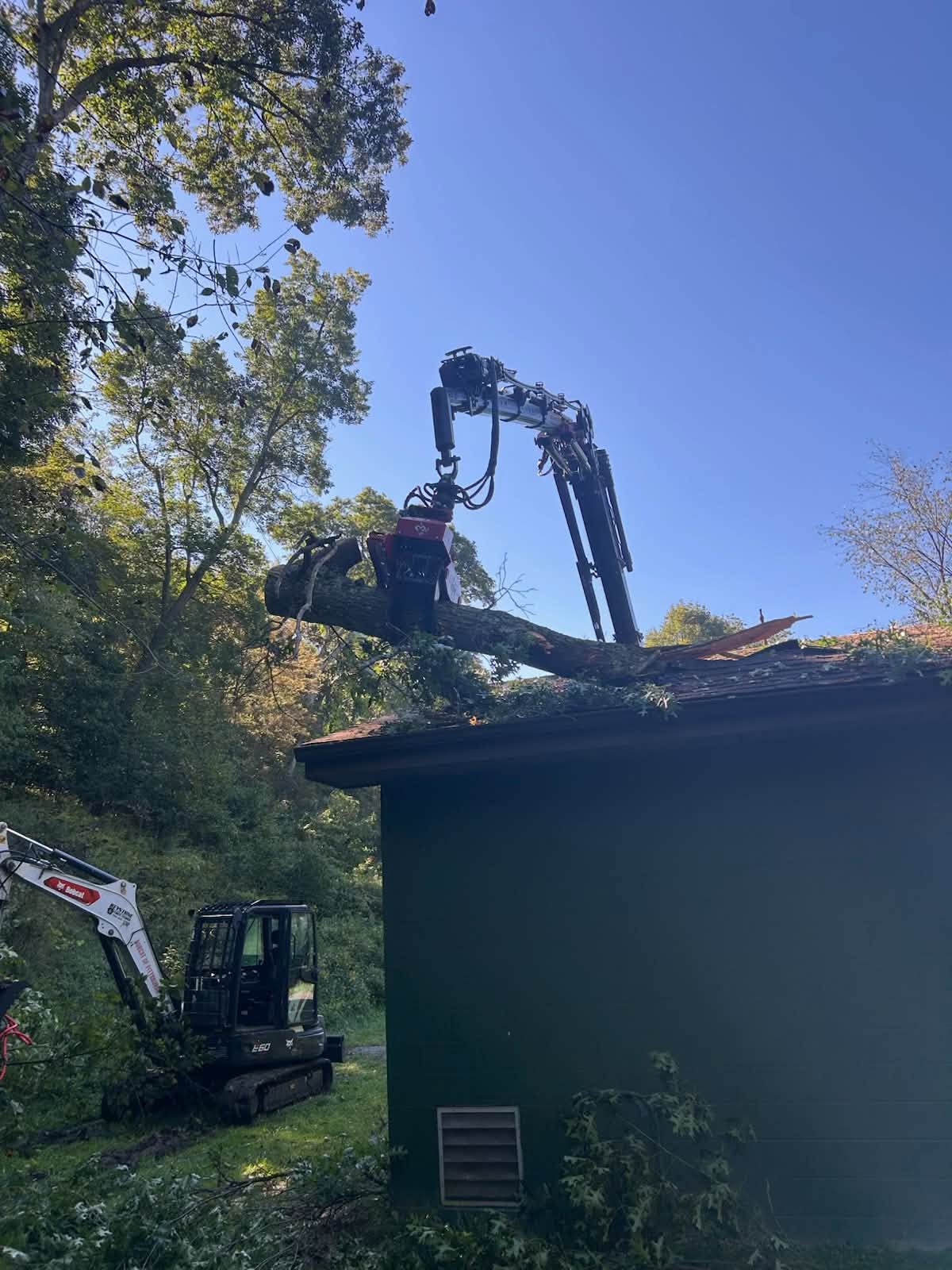 Keystone Tree Techs crew cutting a large tree in Rochester, PA