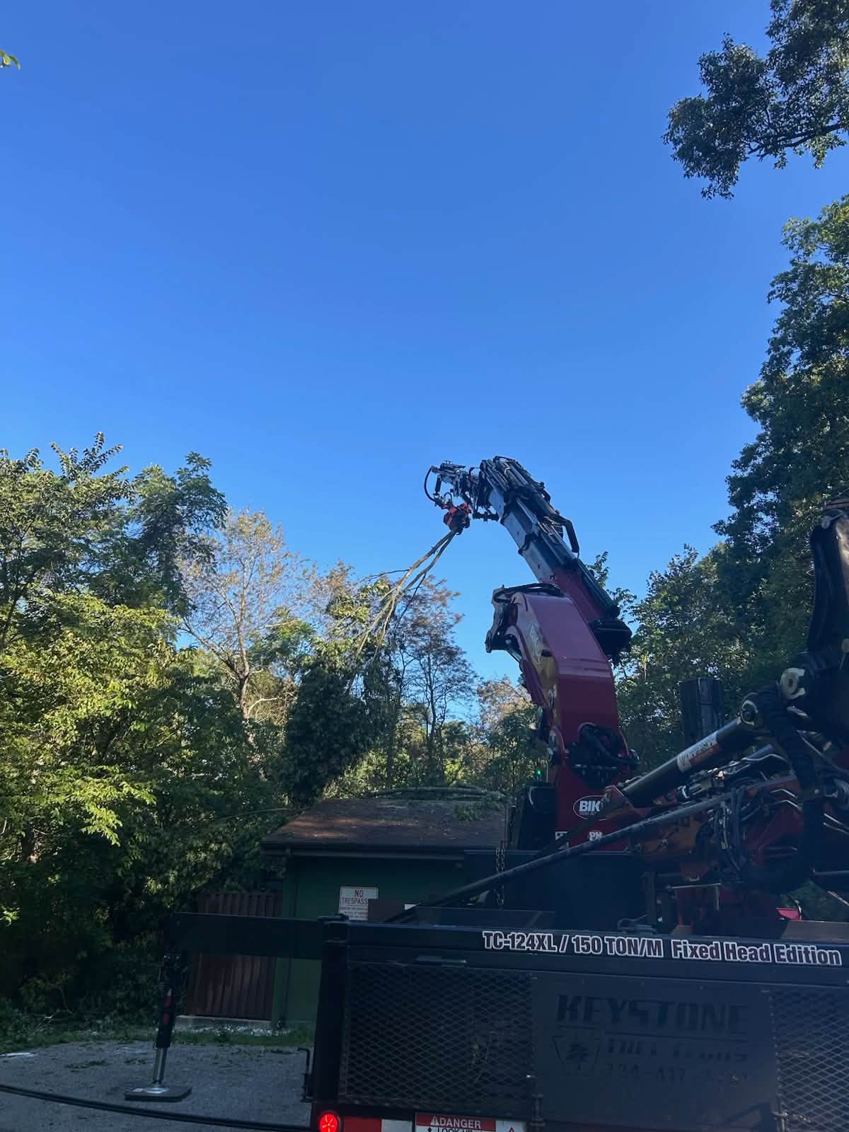 Tree trimming and pruning work